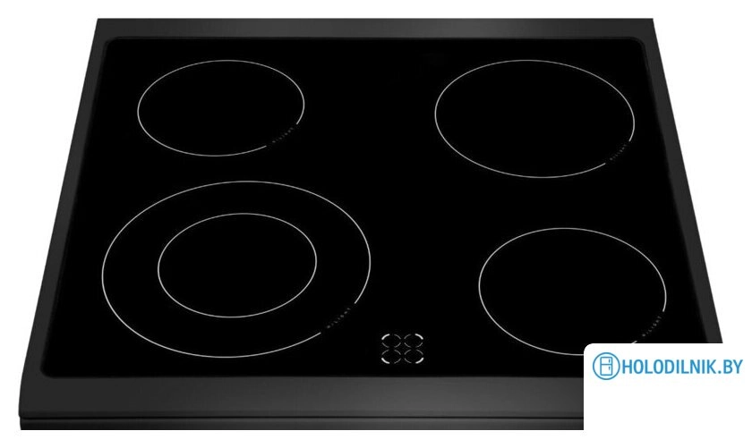 Кухонная плита Hansa FCCM69225H