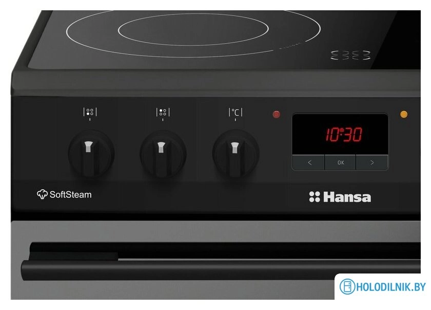 Кухонная плита Hansa FCCM69225H