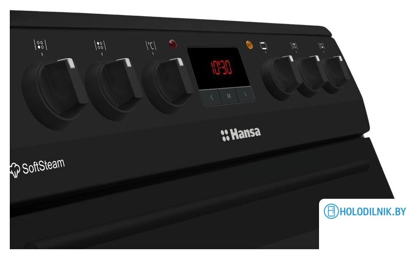 Кухонная плита Hansa FCCM69225H