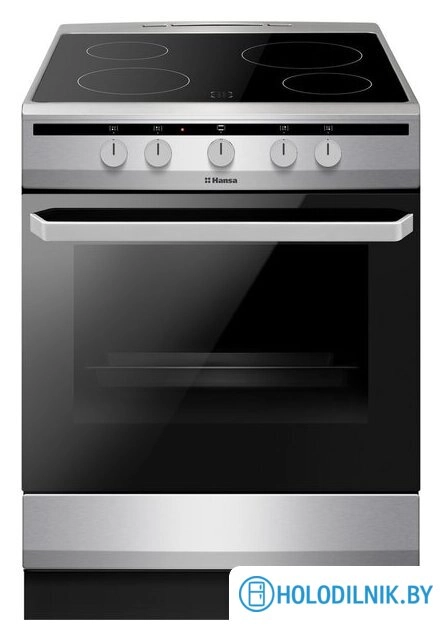 Кухонная плита Hansa FCCS63000