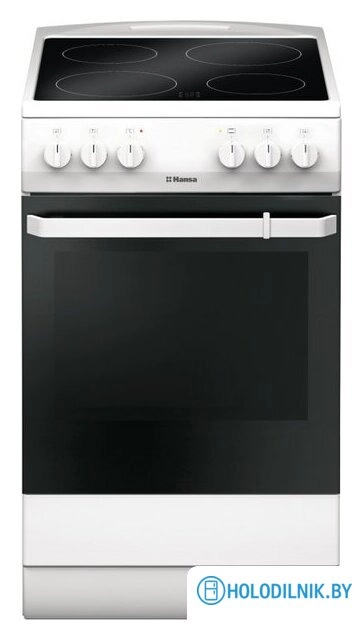 Кухонная плита Hansa FCCW580009