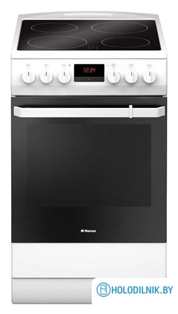 Кухонная плита Hansa FCCW59209