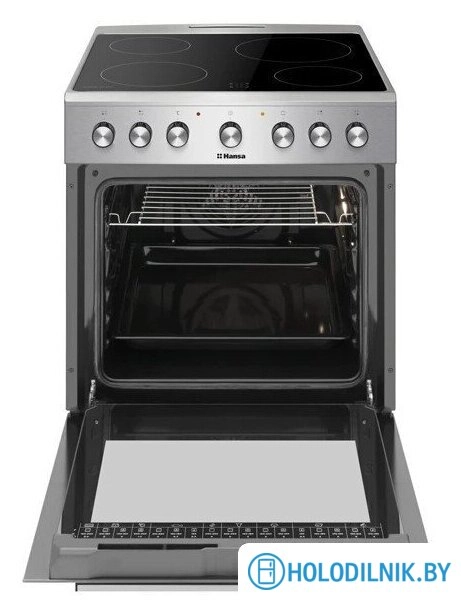 Кухонная плита Hansa FCCX68103