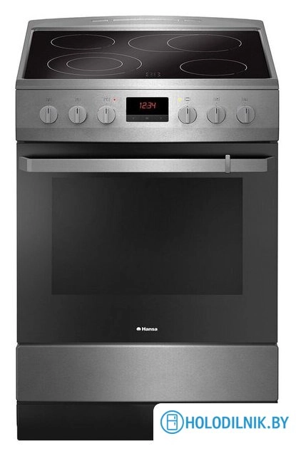 Кухонная плита Hansa FCCX68219