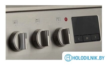 Кухонная плита Hansa FCCX68219