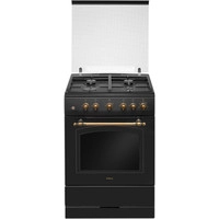 Кухонная плита Hansa FCGA62109