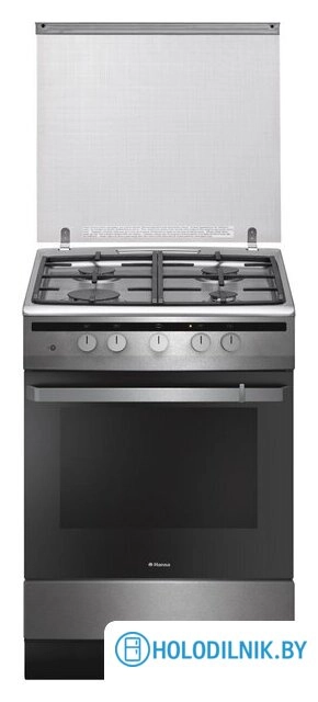 Кухонная плита Hansa FCGI63022