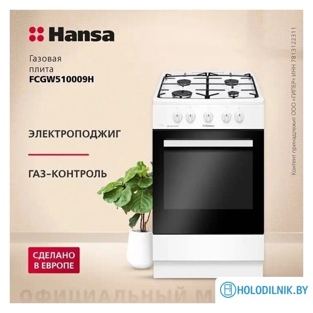 Кухонная плита Hansa FCGW510009H