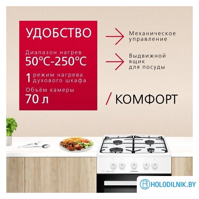 Кухонная плита Hansa FCGW510009H