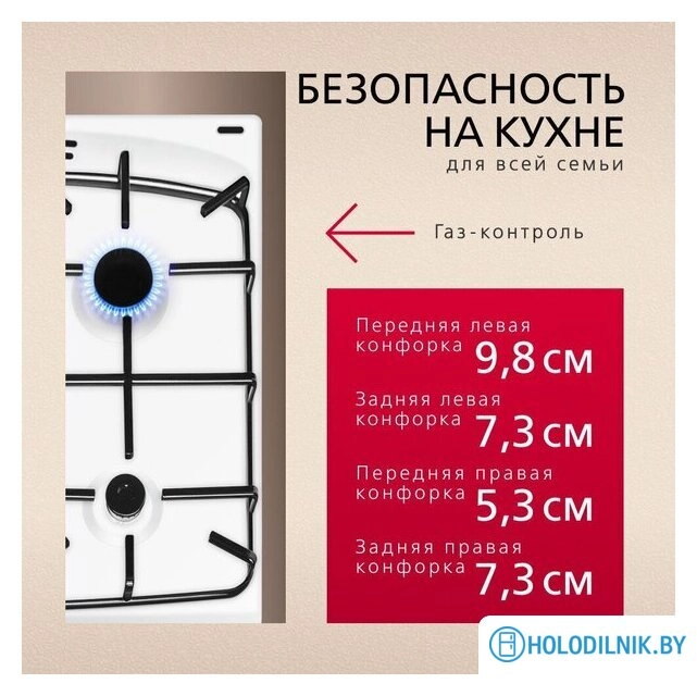 Кухонная плита Hansa FCGW510009H