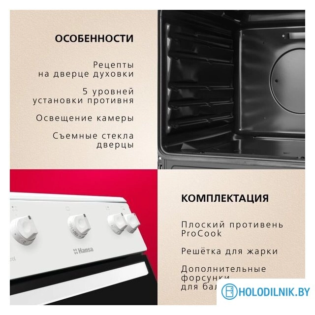 Кухонная плита Hansa FCGW510009H