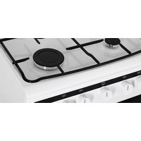 Кухонная плита Hansa FCGW51003