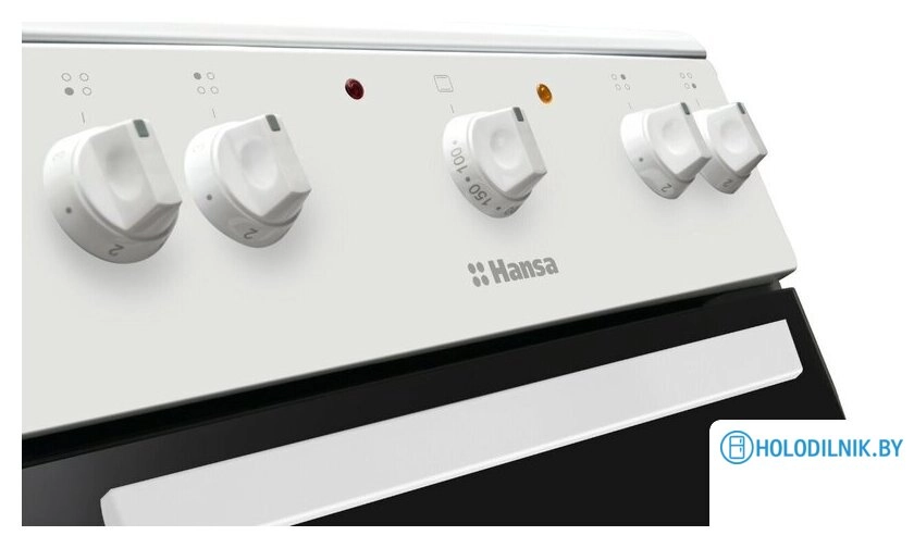 Кухонная плита Hansa FCGW530253H