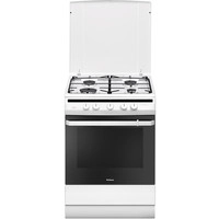 Кухонная плита Hansa FCGW61000