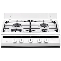 Кухонная плита Hansa FCGW61000