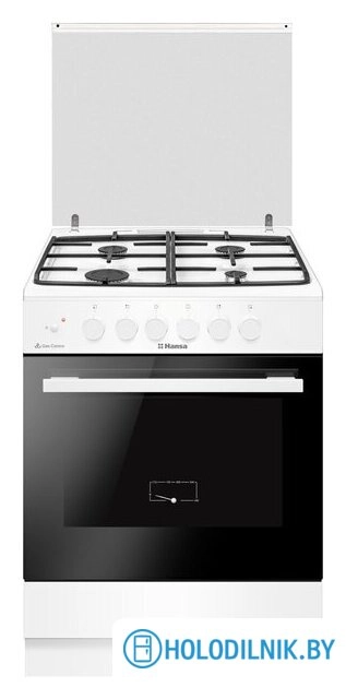 Кухонная плита Hansa FCGW63123