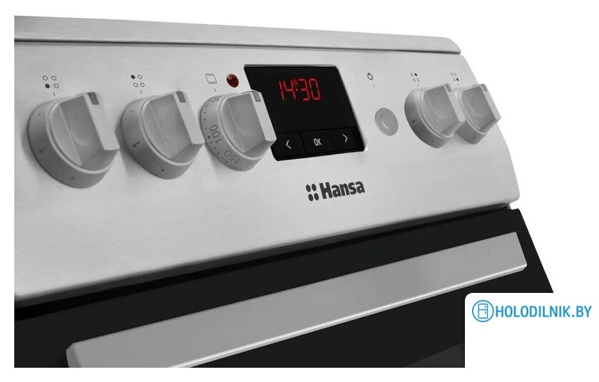 Кухонная плита Hansa FCGX522222H