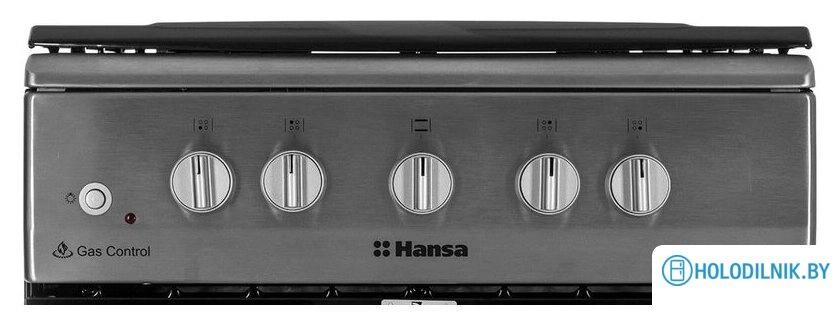 Кухонная плита Hansa FCGX58099
