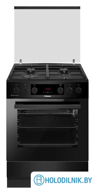 Кухонная плита Hansa FCMM69329