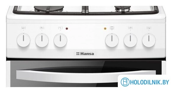 Кухонная плита Hansa FCMW580957