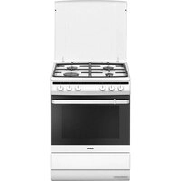 Кухонная плита Hansa FCMW68020