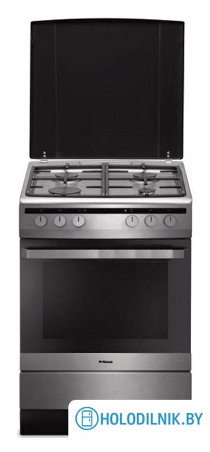 Кухонная плита Hansa FCMX68020