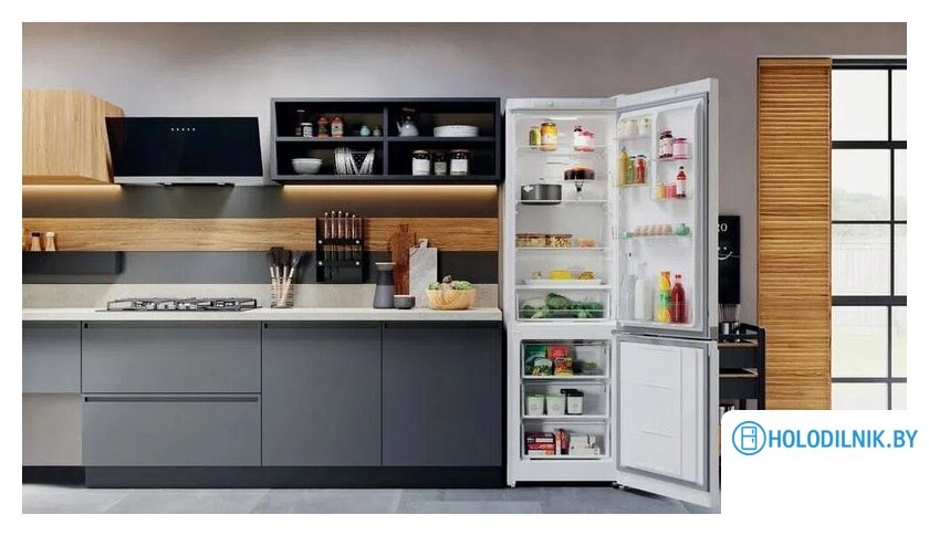 Холодильник Hotpoint-Ariston HTS 4200 W