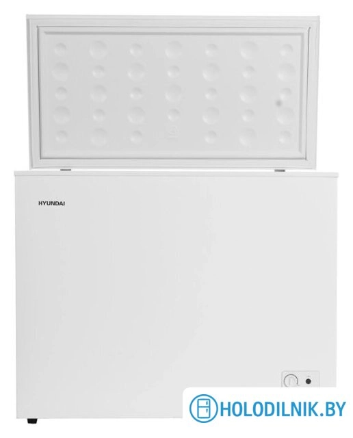Морозильный ларь Hyundai CH25031