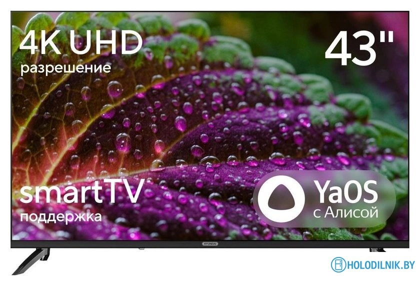 H-LED43BU7012