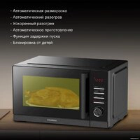 Микроволновая печь Hyundai HYM-D3012