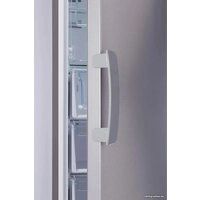 Морозильник Indesit DFZ 5175 G
