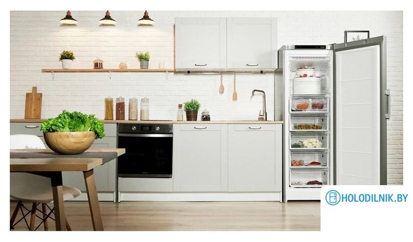 Морозильник Indesit DFZ 5175 S