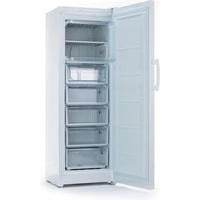 Морозильник Indesit DSZ 5175