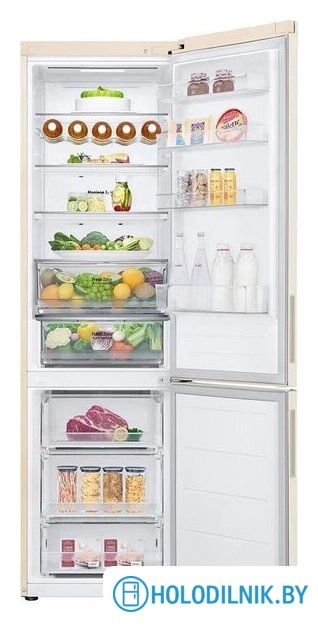 Холодильник LG DoorCooling+ GC-B509AEMW