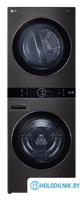 Стирально-сушильная машина с двумя барабанами LG FWT2116BS