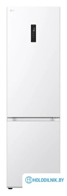 Холодильник LG GC-B509FQQW
