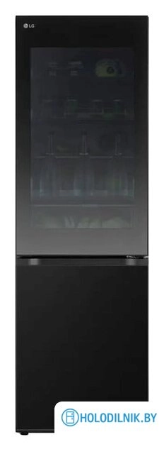 Холодильник LG GC-V459FB6W