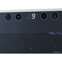 Винный шкаф Libhof Amateur AM-12