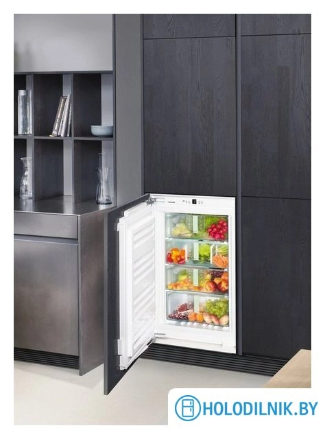 Однокамерный холодильник Liebherr SIBP 1650