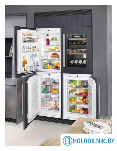 Однокамерный холодильник Liebherr SIBP 1650