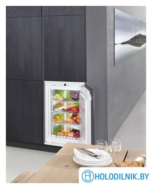 Однокамерный холодильник Liebherr SIBP 1650