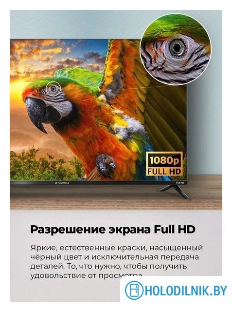 Телевизор MAUNFELD MLT43FSD02
