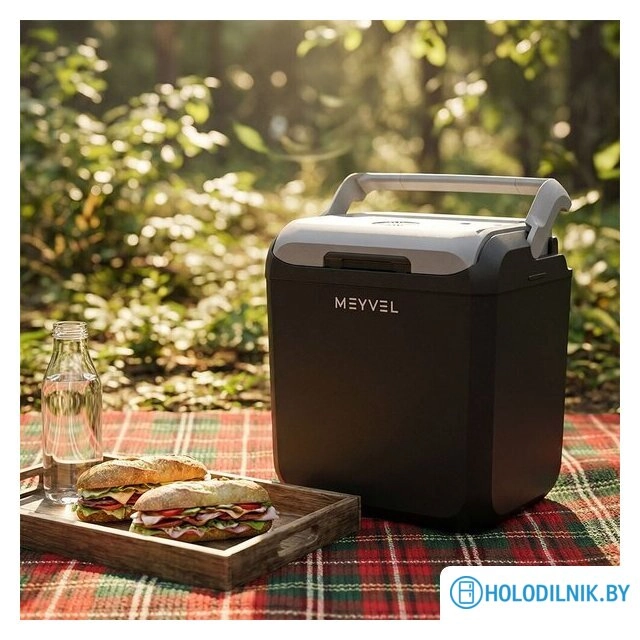 Термоэлектрический автохолодильник Meyvel AF-T30A (черный)