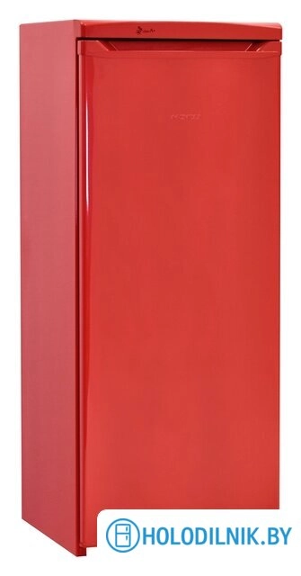 Морозильник Nord (Nordfrost) DF 165 RAP