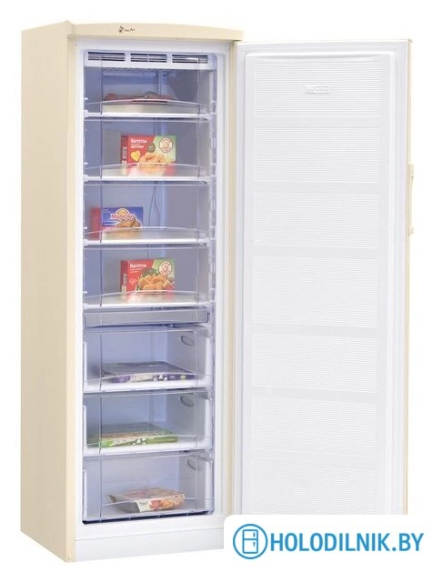 Морозильник Nord (Nordfrost) DF 168 EAP