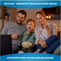 Телевизор Skyline 43LST6385