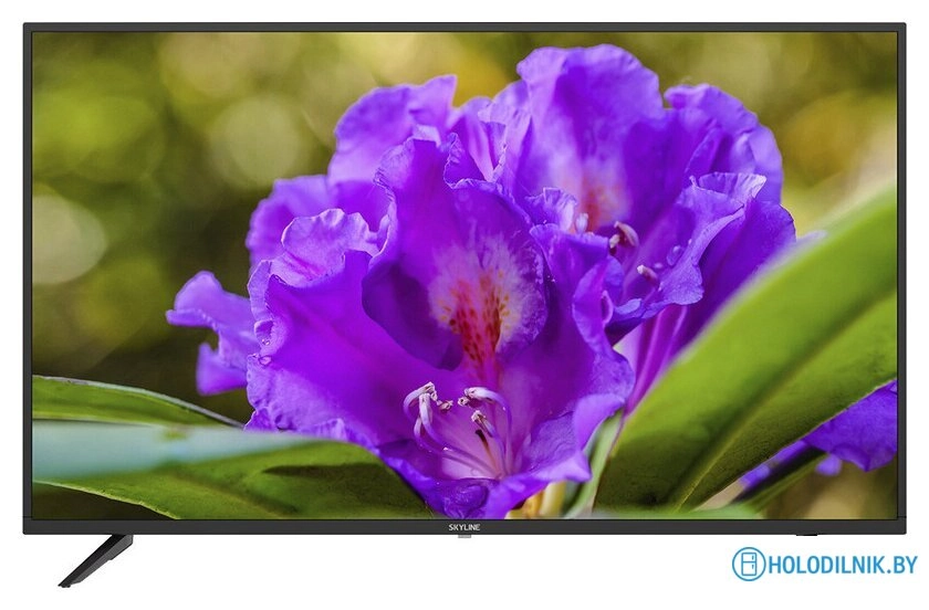 Телевизор Skyline 43LT5901