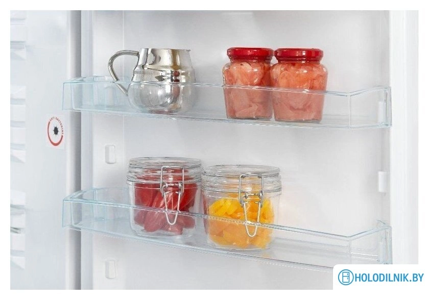 Холодильник Snaige RF58SM-S5RB2E