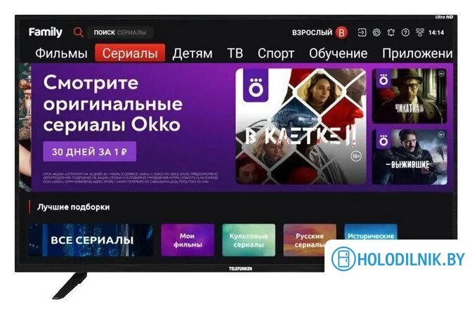 Телевизор TELEFUNKEN TF-LED43S80T2SU