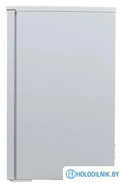 Морозильник Tesler RF 90 (белый)